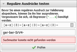datenvalidierung-reg-4
