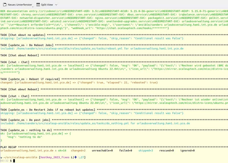 Ansible: Beispiel, wie der Aufruf eines Updates von einem Server auf der Kommandozeile aussieht